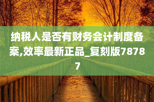 纳税人是否有财务会计制度备案,效率最新正品_复刻版78787