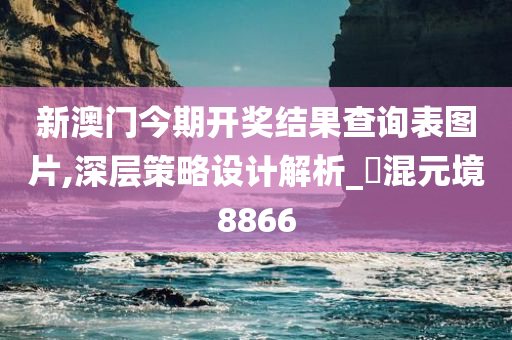 新澳门今期开奖结果查询表图片,深层策略设计解析_‌混元境8866