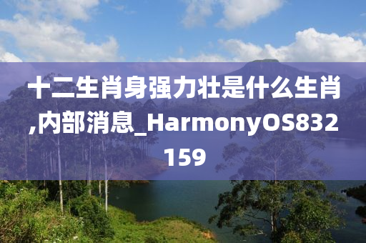 十二生肖身强力壮是什么生肖,内部消息_HarmonyOS832159