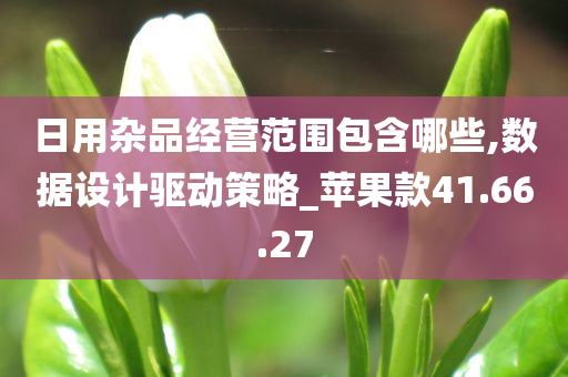 日用杂品经营范围包含哪些,数据设计驱动策略_苹果款41.66.27