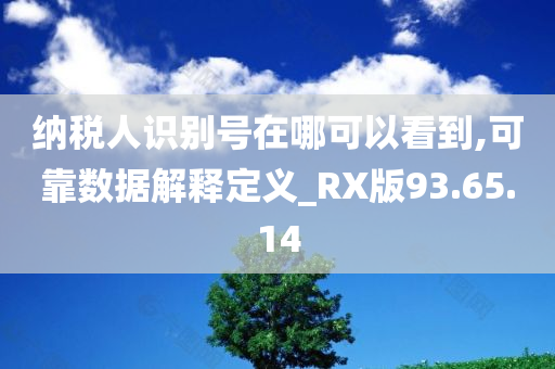 纳税人识别号在哪可以看到,可靠数据解释定义_RX版93.65.14