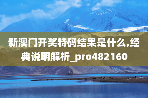 新澳门开奖特码结果是什么,经典说明解析_pro482160