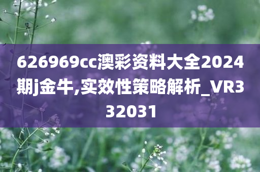 626969cc澳彩资料大全2024期j金牛,实效性策略解析_VR332031