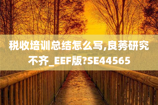 税收培训总结怎么写,良莠研究不齐_EEF版?SE44565