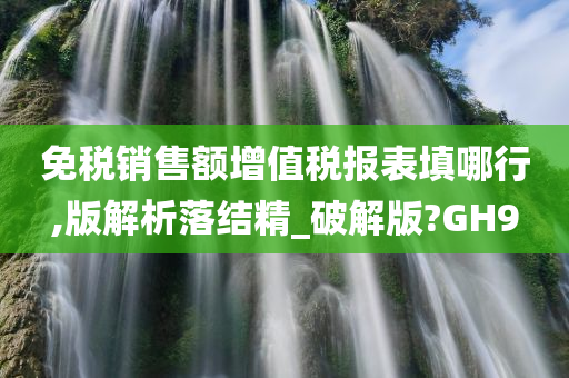 免税销售额增值税报表填哪行,版解析落结精_破解版?GH9