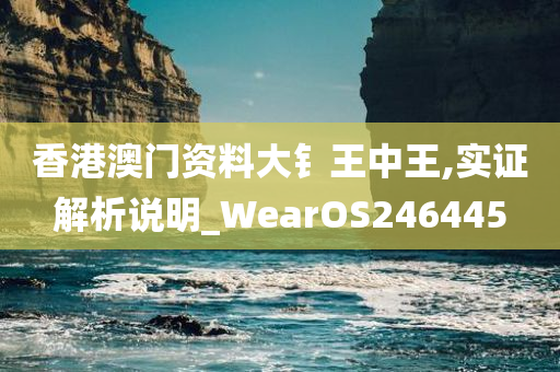 香港澳门资料大钅王中王,实证解析说明_WearOS246445