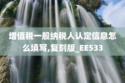 增值税一般纳税人认定信息怎么填写,复刻版_EE533