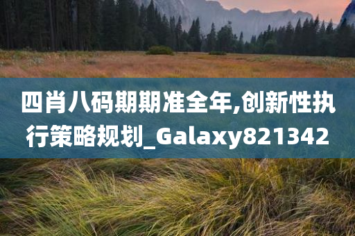 四肖八码期期准全年,创新性执行策略规划_Galaxy821342