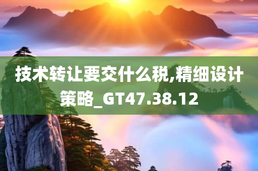 技术转让要交什么税,精细设计策略_GT47.38.12