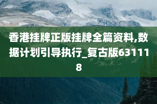 香港挂牌正版挂牌全篇资料,数据计划引导执行_复古版631118