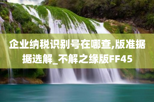 企业纳税识别号在哪查,版准据据选解_不解之缘版FF45