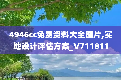 4946cc免费资料大全图片,实地设计评估方案_V711811