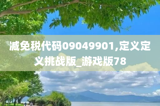 减免税代码09049901,定义定义挑战版_游戏版78