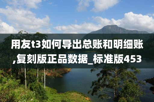 用友t3如何导出总账和明细账,复刻版正品数据_标准版453