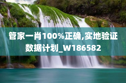 管家一肖100%正确,实地验证数据计划_W186582