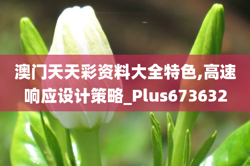 澳门天天彩资料大全特色,高速响应设计策略_Plus673632