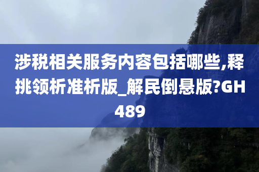 涉税相关服务内容包括哪些,释挑领析准析版_解民倒悬版?GH489