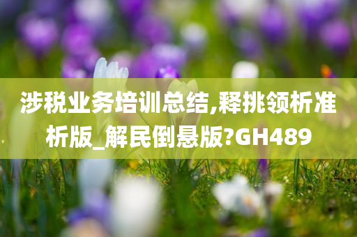 涉税业务培训总结,释挑领析准析版_解民倒悬版?GH489