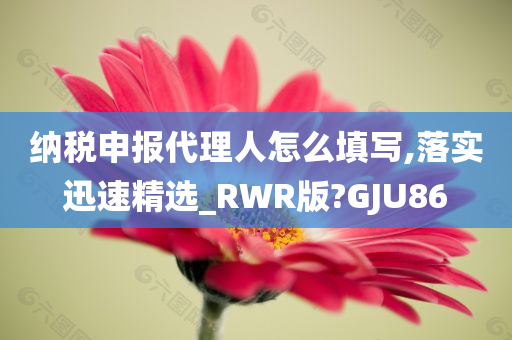 纳税申报代理人怎么填写,落实迅速精选_RWR版?GJU86