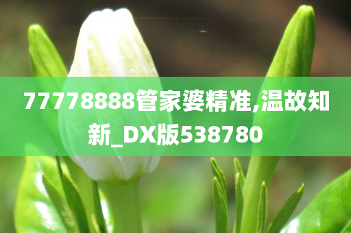 77778888管家婆精准,温故知新_DX版538780