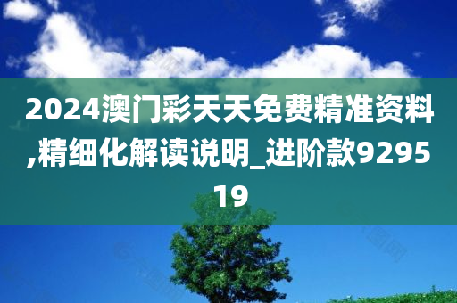 2024澳门彩天天免费精准资料,精细化解读说明_进阶款929519