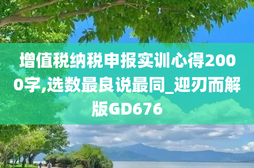 增值税纳税申报实训心得2000字,选数最良说最同_迎刃而解版GD676