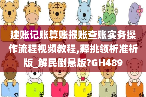 建账记账算账报账查账实务操作流程视频教程,释挑领析准析版_解民倒悬版?GH489