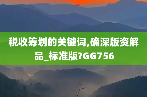 税收筹划的关键词,确深版资解品_标准版?GG756