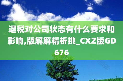 退税对公司状态有什么要求和影响,版解解精析挑_CXZ版GD676