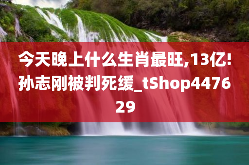 今天晚上什么生肖最旺,13亿!孙志刚被判死缓_tShop447629