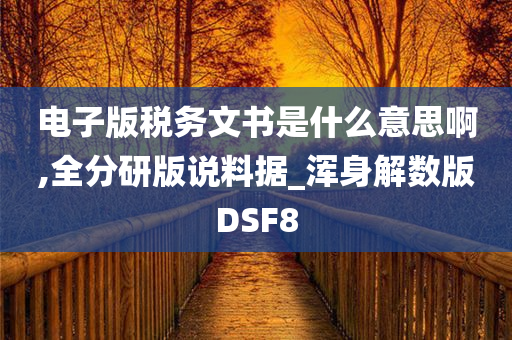 电子版税务文书是什么意思啊,全分研版说料据_浑身解数版DSF8