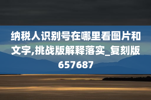 纳税人识别号在哪里看图片和文字,挑战版解释落实_复刻版657687