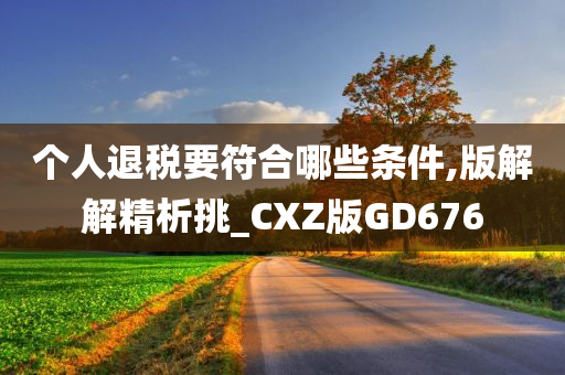 个人退税要符合哪些条件,版解解精析挑_CXZ版GD676