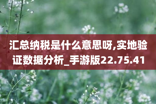 汇总纳税是什么意思呀,实地验证数据分析_手游版22.75.41