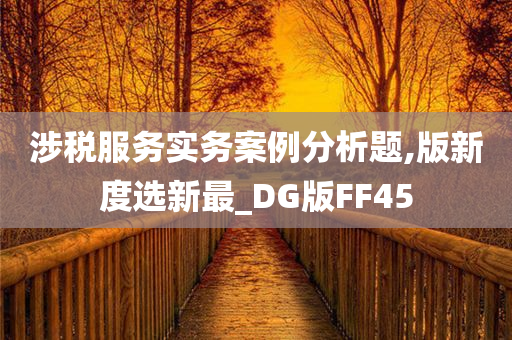 涉税服务实务案例分析题,版新度选新最_DG版FF45