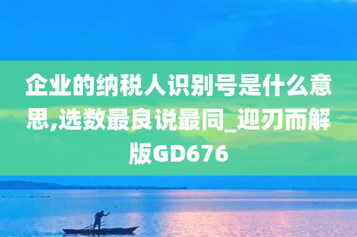 企业的纳税人识别号是什么意思,选数最良说最同_迎刃而解版GD676