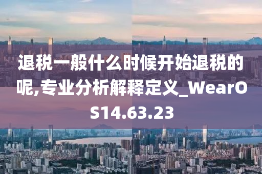 退税一般什么时候开始退税的呢,专业分析解释定义_WearOS14.63.23