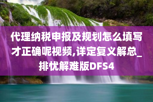 代理纳税申报及规划怎么填写才正确呢视频,详定复义解总_排忧解难版DFS4