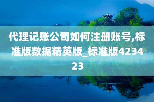 代理记账公司如何注册账号,标准版数据精英版_标准版423423