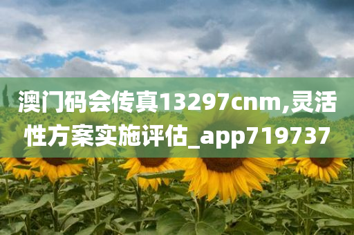 澳门码会传真13297cnm,灵活性方案实施评估_app719737