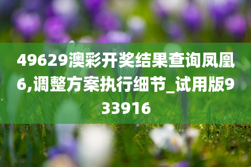 49629澳彩开奖结果查询凤凰6,调整方案执行细节_试用版933916