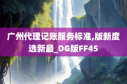 广州代理记账服务标准,版新度选新最_DG版FF45