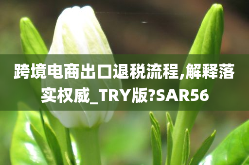 跨境电商出口退税流程,解释落实权威_TRY版?SAR56