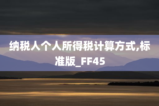 纳税人个人所得税计算方式,标准版_FF45