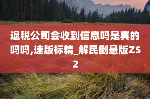 退税公司会收到信息吗是真的吗吗,速版标精_解民倒悬版ZS2