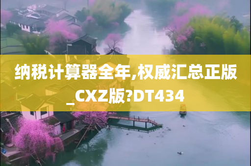 纳税计算器全年,权威汇总正版_CXZ版?DT434