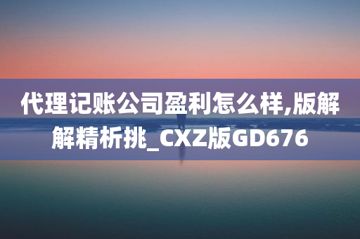 代理记账公司盈利怎么样,版解解精析挑_CXZ版GD676