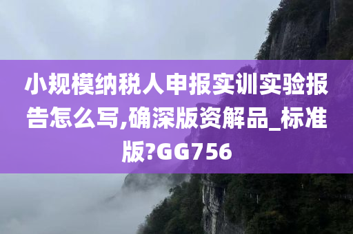 小规模纳税人申报实训实验报告怎么写,确深版资解品_标准版?GG756