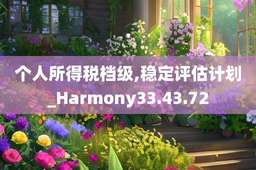 个人所得税档级,稳定评估计划_Harmony33.43.72