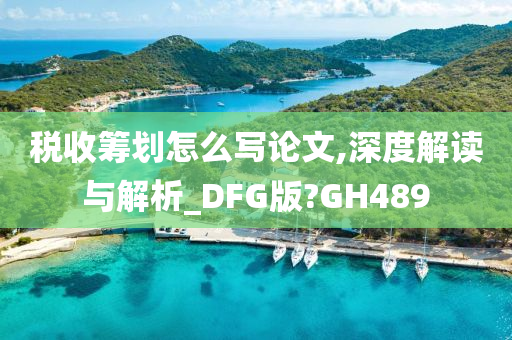 税收筹划怎么写论文,深度解读与解析_DFG版?GH489